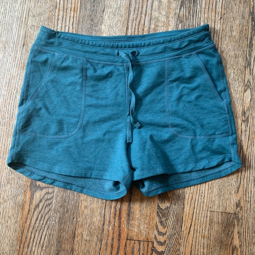 Patagonia blue shorts